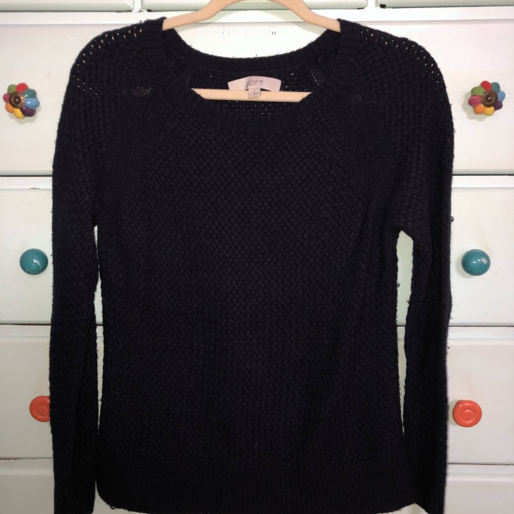 Navy LOFT sweater